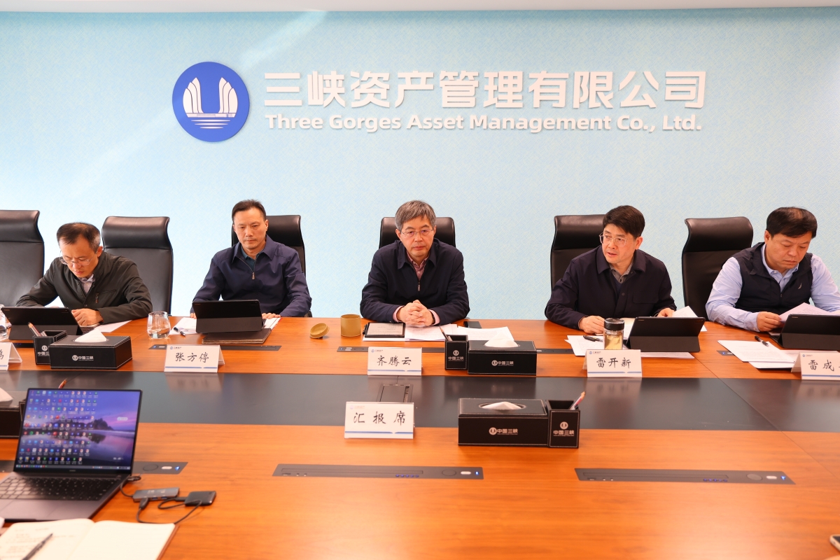 三峡资产公司党委学习贯彻党的二十届四中全会精神