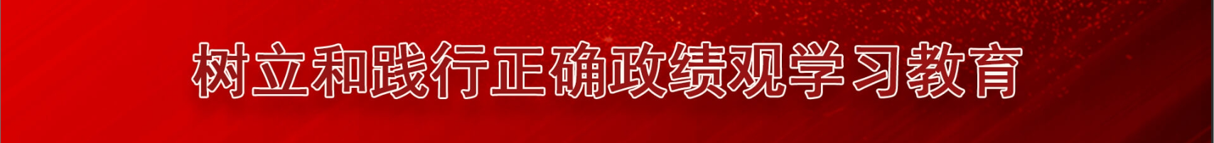 树立和践行正确政绩观学习教育