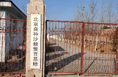 怀柔土地
